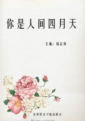 深入了解 老镖客城中村经典视频